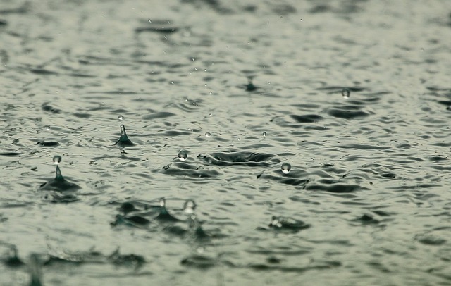 Jaké jsou následky globálních změn klimatu